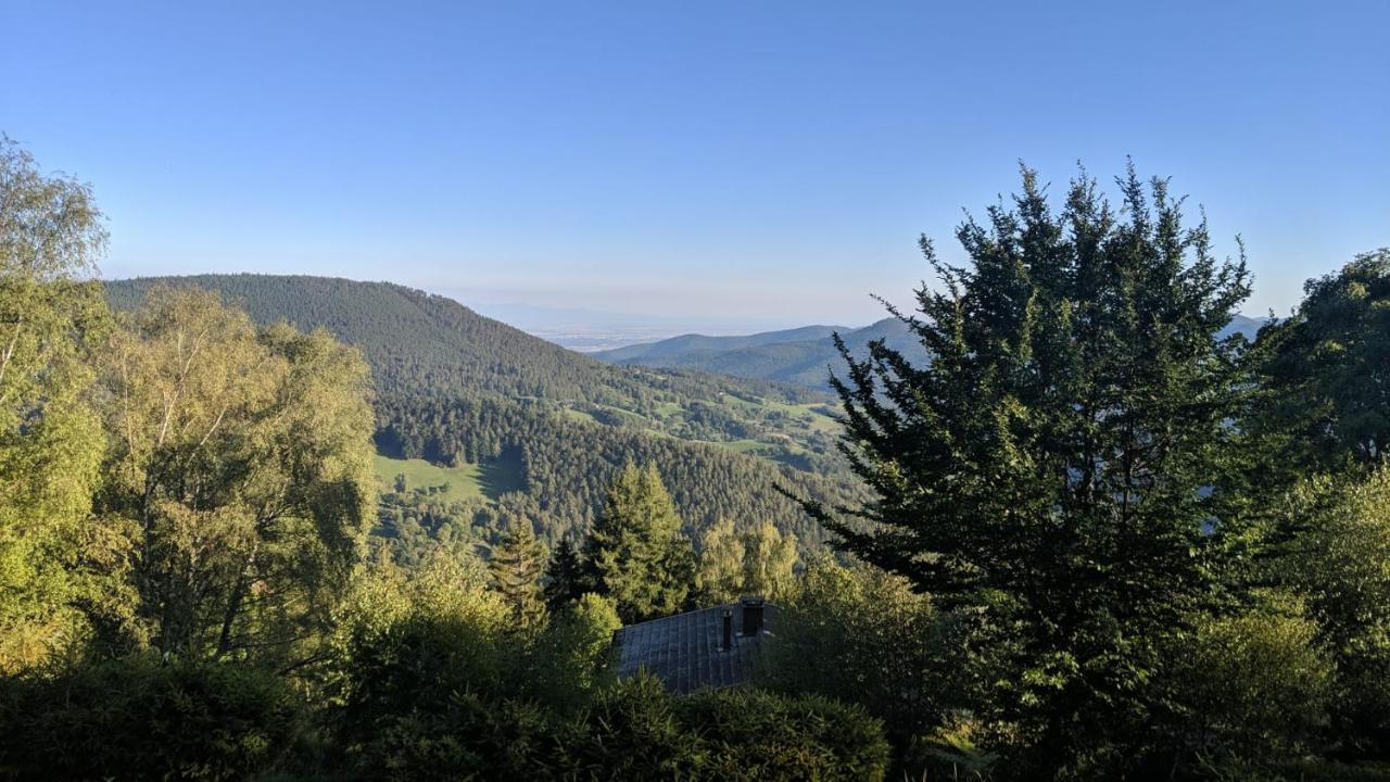 אוסטהיים Apigite68, Proche Route Des Vins, Vosges, Colmar Et Non Loin D'Europa-Park! מראה חיצוני תמונה